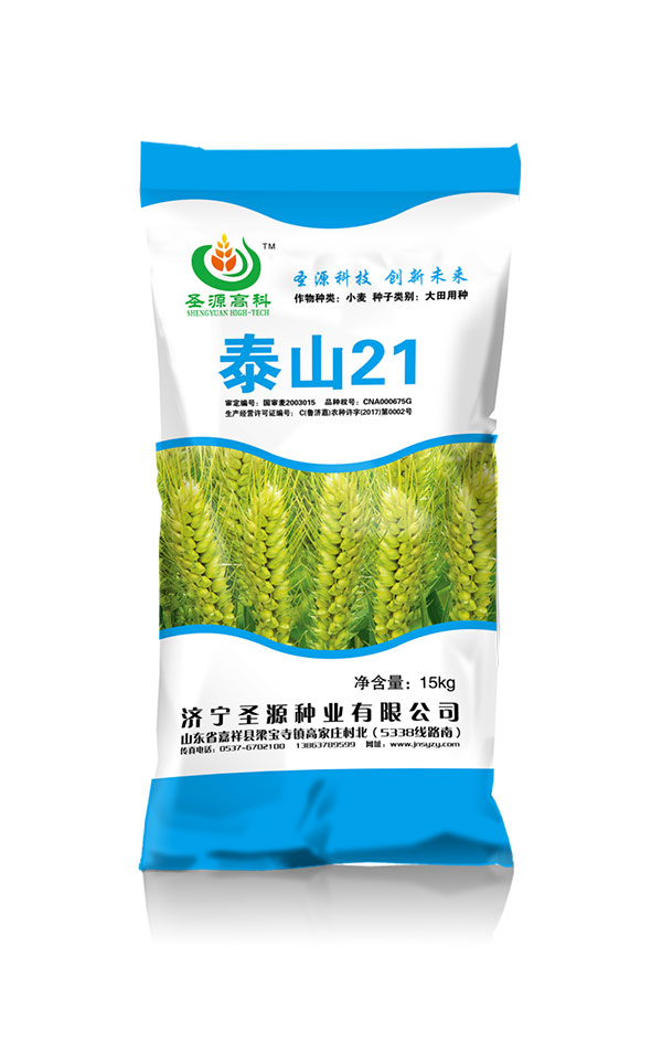 泰山21號(hào)